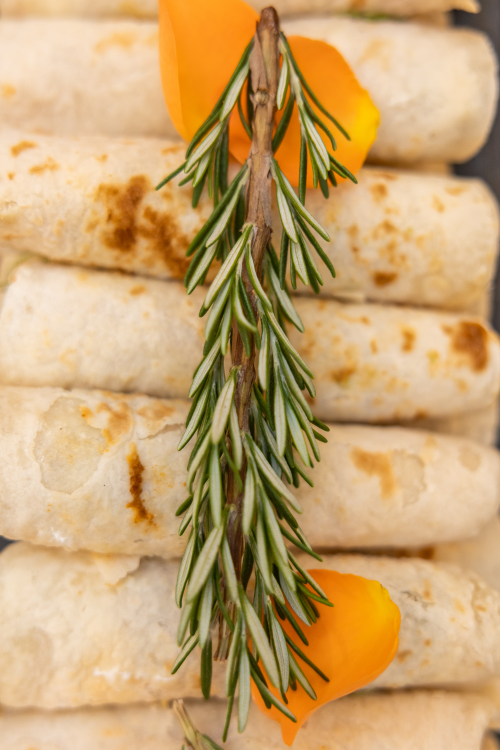 2025 STELLENBOSCH UNIVERSITY GRADUATION