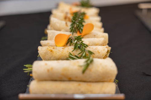 2025 STELLENBOSCH UNIVERSITY GRADUATION