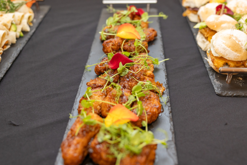 2025 STELLENBOSCH UNIVERSITY GRADUATION