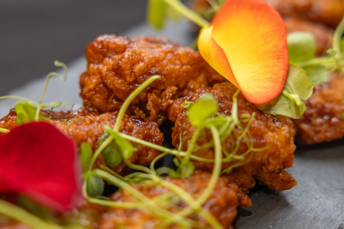 2025 STELLENBOSCH UNIVERSITY GRADUATION